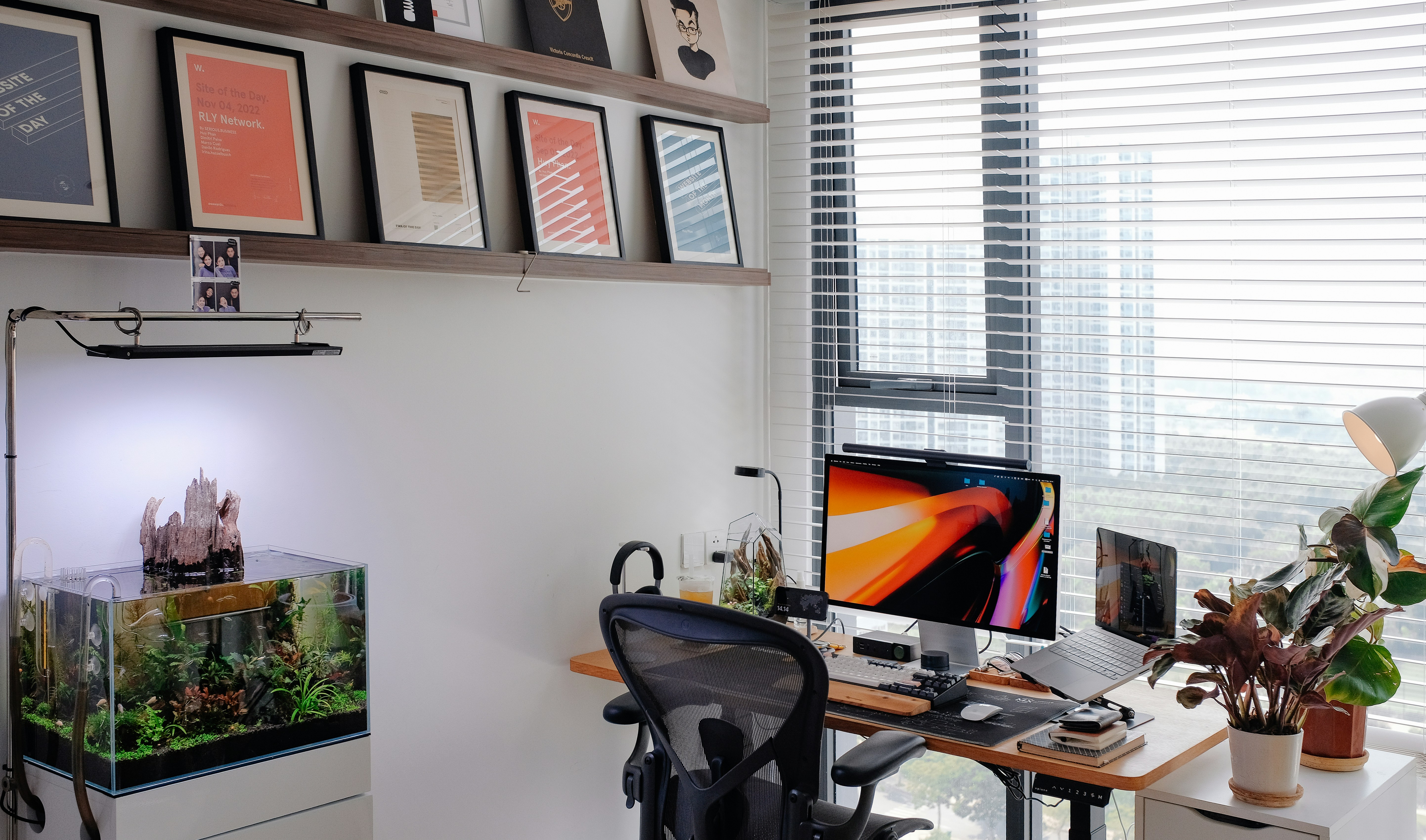 Setting Up Your First Freshwater Aquarium: A Complete Guide