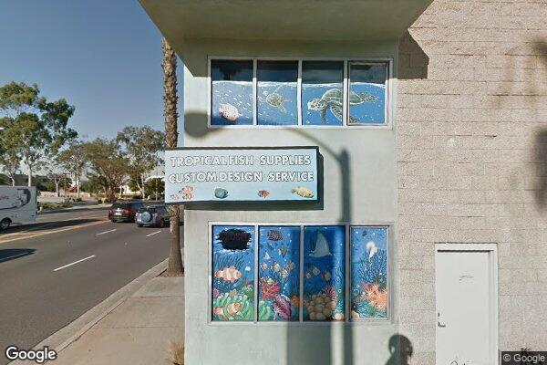 Age of Aquariums storefront