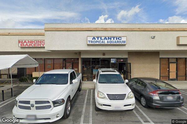 Atlantic Tropical Aquarium storefront