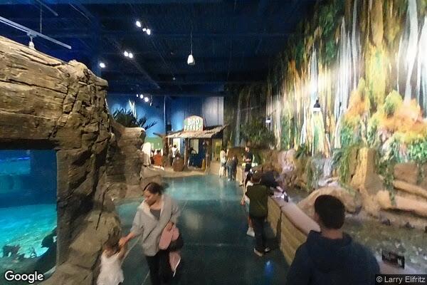 Blue Zoo Aquarium storefront