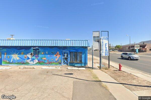 JTF: Jason's Tropical Fish storefront
