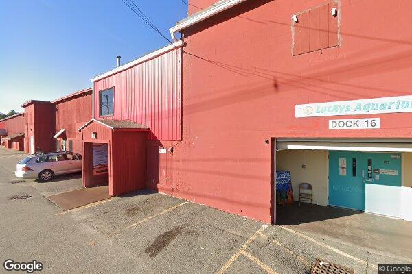 Luckys Aquarium storefront