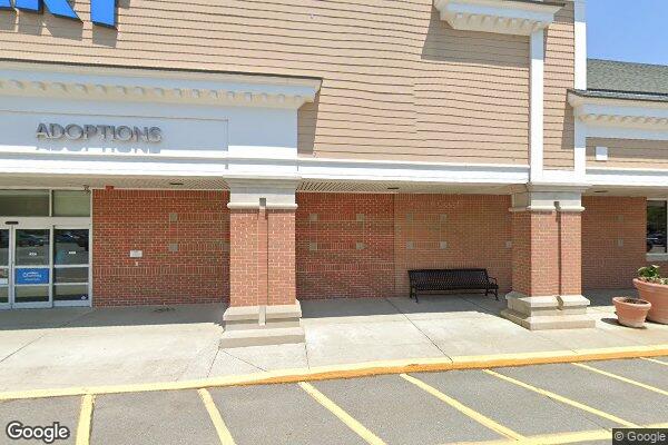 PetSmart Brunswick ME Pet Store storefront