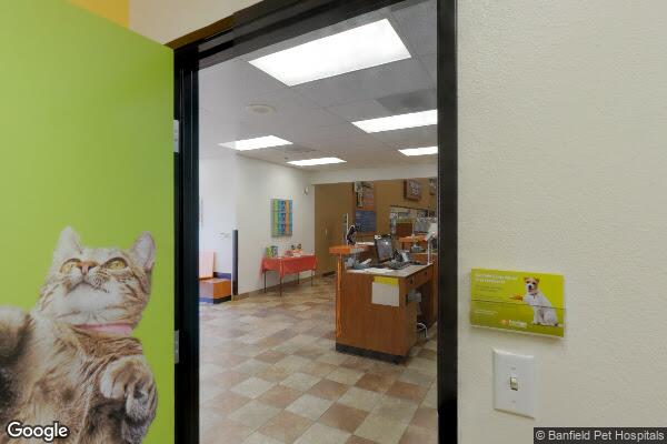 PetSmart Topeka Pet Store storefront