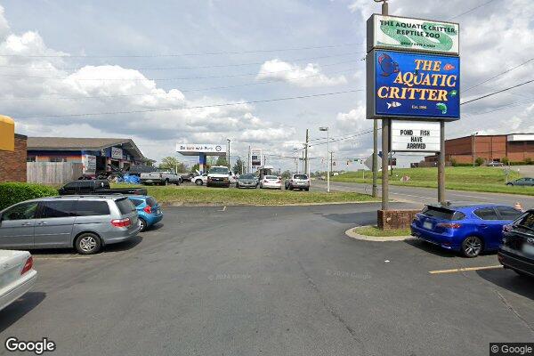 The Aquatic Critter storefront